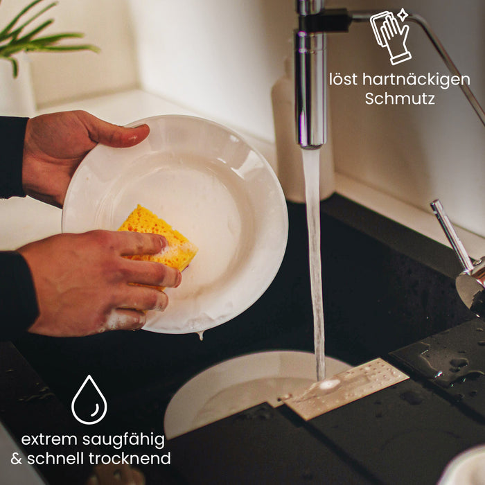 BiOHY coconut sponges, dishwashing sponge, kitchen sponge, sustainable cleaning sponge