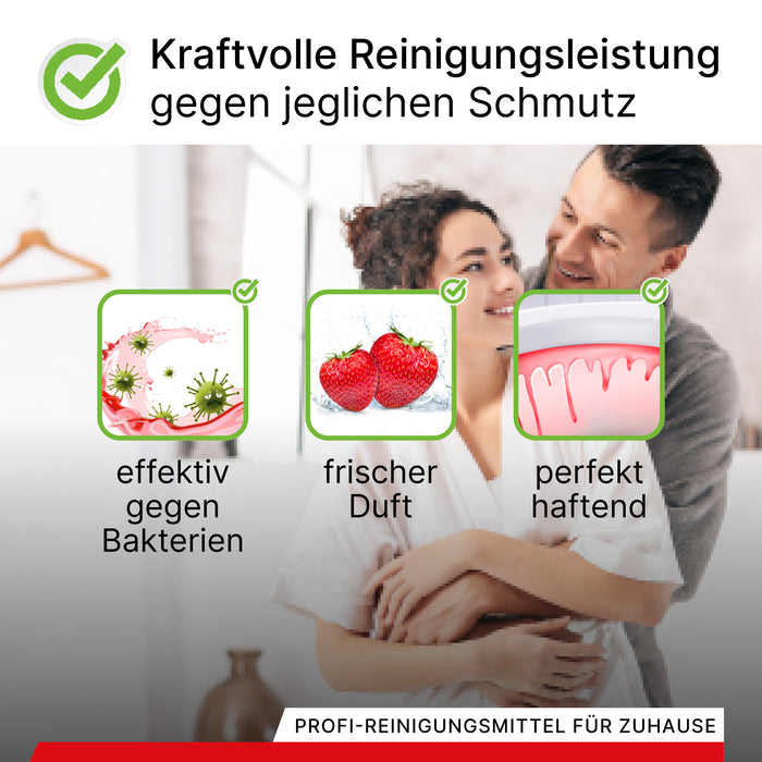 BiOHY WC-Schwan, Urinsteinentferner, WC-Reiniger, Toilettenreiniger, B2B