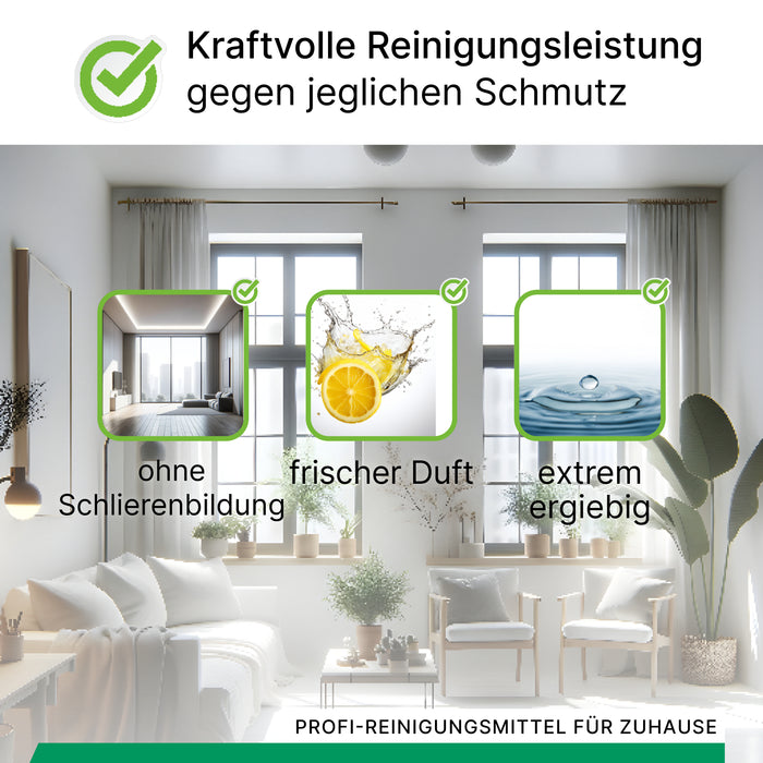 BiOHY Glasreiniger für Fenstersauger, Fensterputzmittel, Glasreiniger, Fensterreiniger