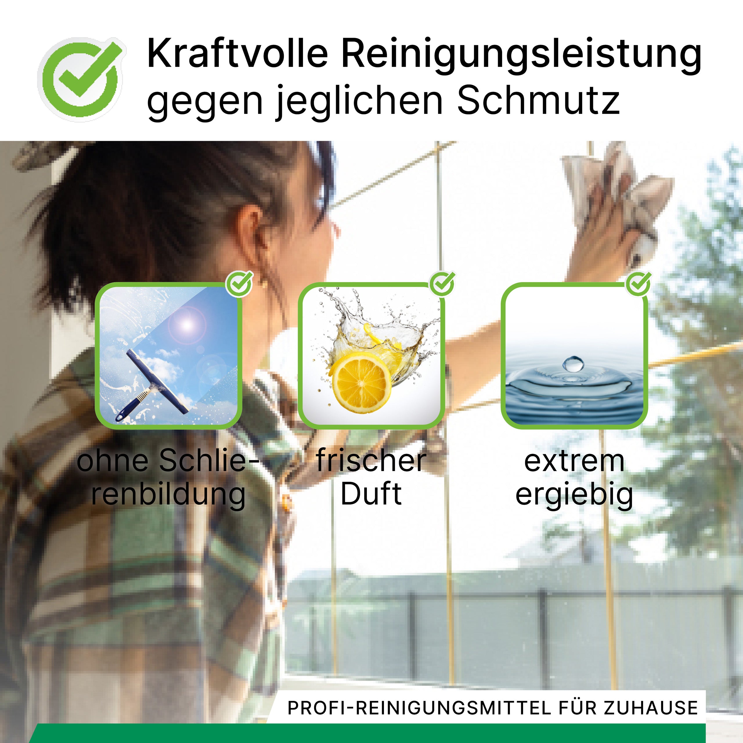 BiOHY Profi Fensterreiniger, Glasreiniger, Fensterputzmittel, Bio-Konzentrat