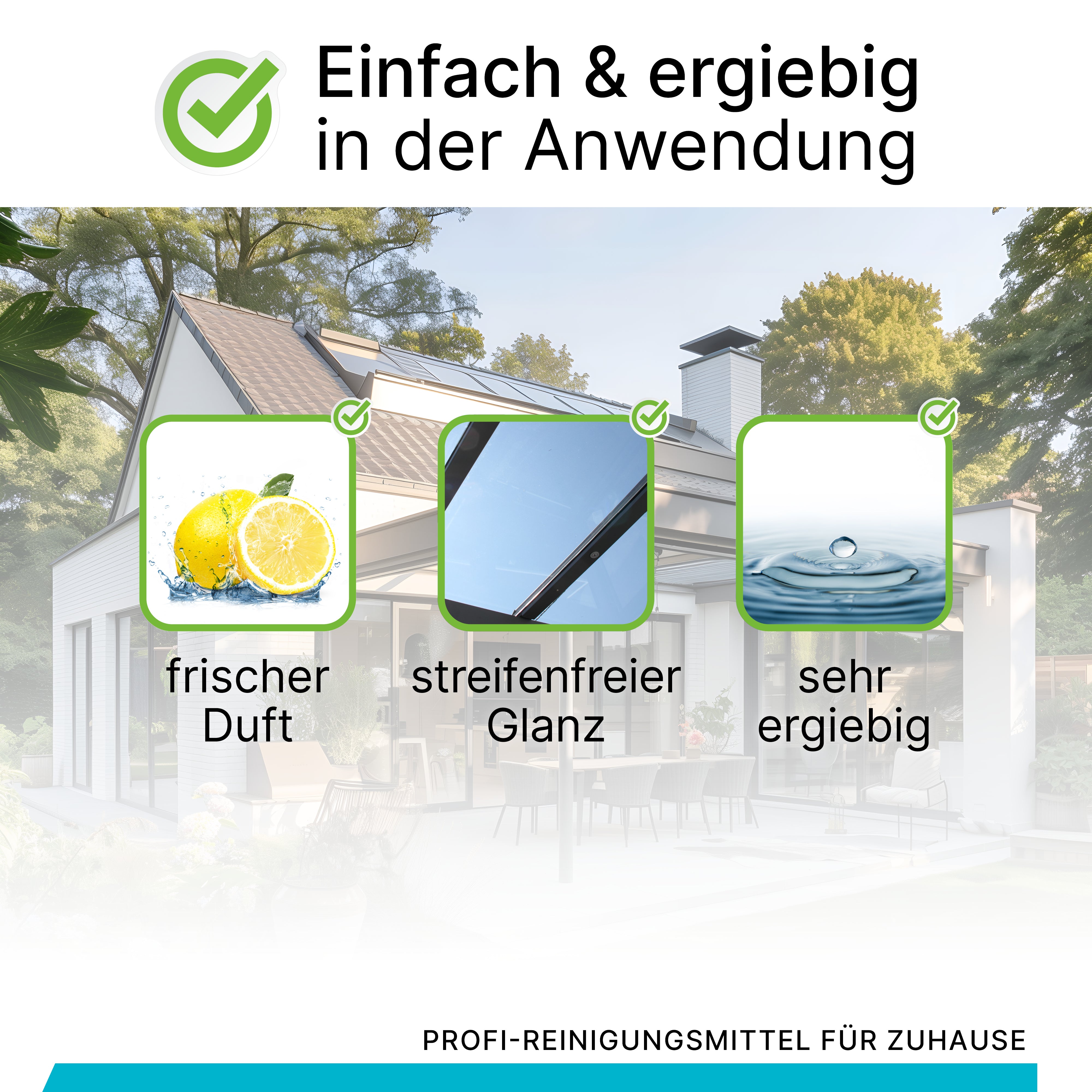 BiOHY Vordach- und Terrassendachreiniger, Terrassenreiniger, Vordachreiniger, Algenentferner